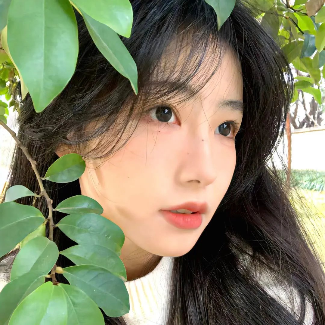 好莱坞大道